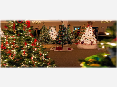 Annual Multi-Service Tree Festival Dazzles with Holiday Spirit