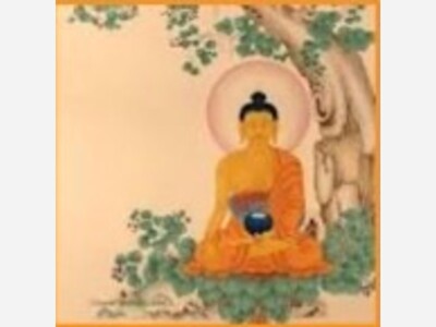 Find Serenity Exploring the Eightfold Path with Sandra Williams