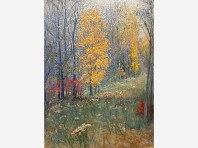 Studio B Art Gallery Showcases Artwork of Bear Fever Artist Robert Louis Williams