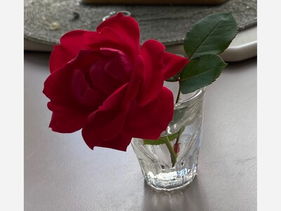 Joy:  Sometimes It's the Little Things 