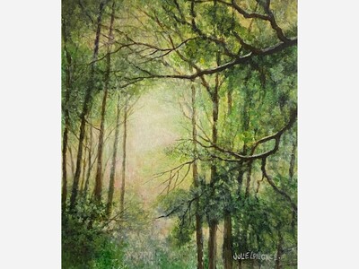 Studio B Art Gallery Showcases Artwork of Bear Fever Artist Julie Longacre