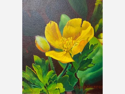 Studio B Art Gallery Showcases Artwork of Bear Fever Artist Candi Haas-Simmons