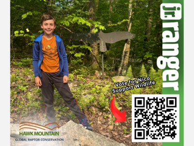 Berks County Boy on a Quest  to Support Wildlife
