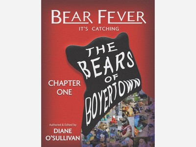 Sunday, Nov 16 at Studio B, Author Diane O'Sullivan to Share Catching Bear Fever: Her Stories