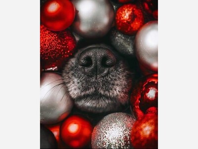 "B Inspired" Offers Jane's Top Christmas Specials