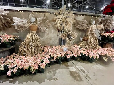 “Nature’s Blessings” Shine at Glick’s Greenhouse 2025 Poinsettia Show