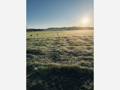 Studio B Art Gallery Opens "LAND" on January 30, 2026