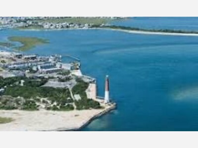 The Birds of Barnegat Inlet