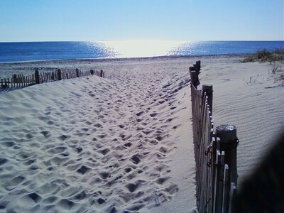 April 9: One-a-Day in Celebration of National Poetry Month 