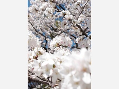 April 4: One-a-Day in Celebration of National Poetry Month 