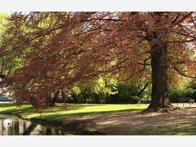 April 6: One-a-Day in Celebration of National Poetry Month 