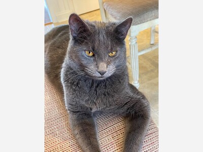 April 26: One-a-Day in Celebration of National Poetry Month