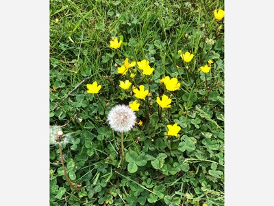 April 10: One-a-Day in Celebration of National Poetry Month 