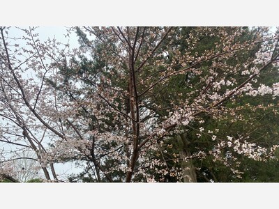 April 4: One-a-Day in Celebration of National Poetry Month 