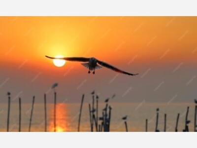 April 20: One-a-Day in Celebration of National Poetry Month