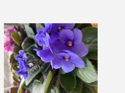 One-a-Day in Celebration of National Poetry Month: Share Your Favorite