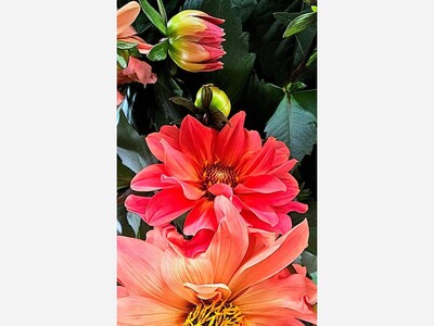 May 30: One-a-Day: Flowers--Nature's Eye Candy