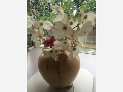 May 13: Flowers: Nature's Eye Candy