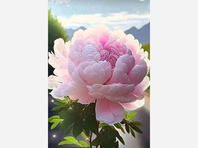 May 10: One-a-Day: Flowers--Nature's Eye Candy 
