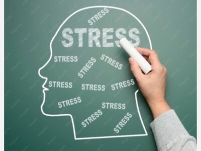 Master Everyday Stress With Simple Steps That Last