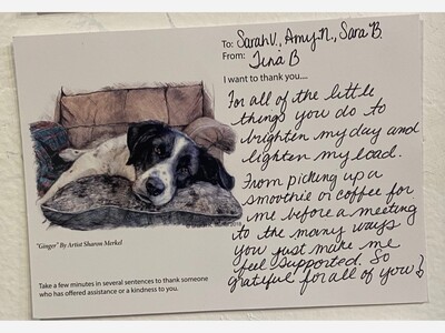 "Thank you" Cards on Exhibit at Studio B