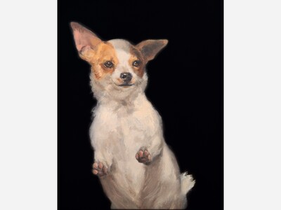 Studio B Art Gallery Announces Opening to  PETS! 