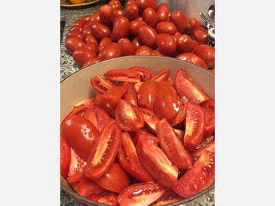 Philosophizing About Food With Francine: Roma Tomatoes