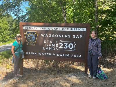 Counting Raptors: A Fun Way to Spend a Day
