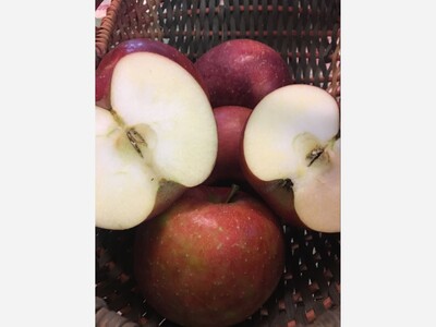 Philosophizing About Food With Francine:  Rome Apples