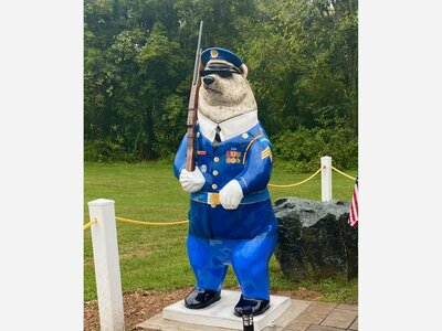 Honor Bear Fever Bear Stands Guard 24/7/365