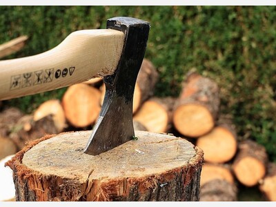 The Great 18th Century Firewood Shortage