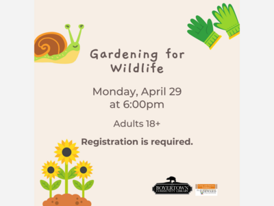 Gardening for Wildlife