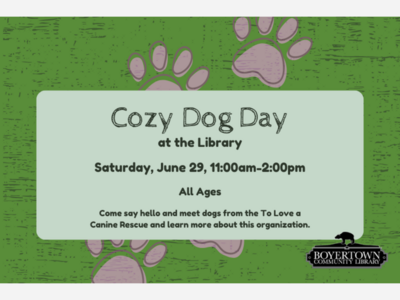 Cozy Dog Day at the Library