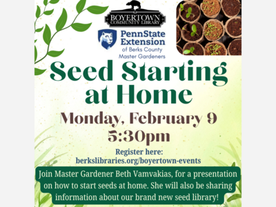 Seed Starting at Home