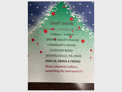 Craft Show